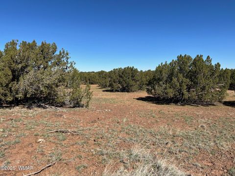 Tiny photo for 8656 Bonito Drive, Show Low, AZ 85901 (MLS # 258253)