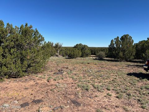 Tiny photo for 8656 Bonito Drive, Show Low, AZ 85901 (MLS # 258253)