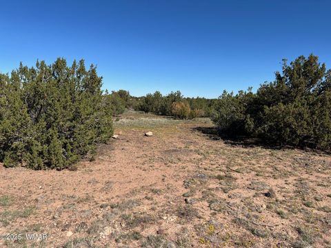 Tiny photo for 8656 Bonito Drive, Show Low, AZ 85901 (MLS # 258253)