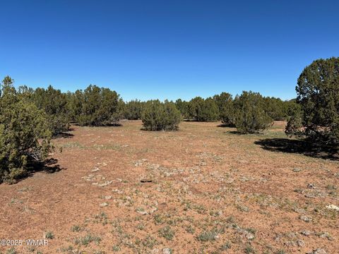 Photo of 8656 Bonito Drive, Show Low, AZ 85901 (MLS # 258253)