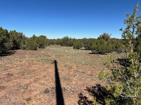 Tiny photo for 8656 Bonito Drive, Show Low, AZ 85901 (MLS # 258253)