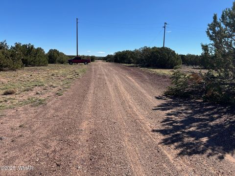 Tiny photo for 8656 Bonito Drive, Show Low, AZ 85901 (MLS # 258253)