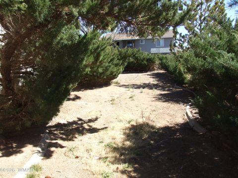 Tiny photo for 430 S Love Lake Circle, Taylor, AZ 85939 (MLS # 260121)