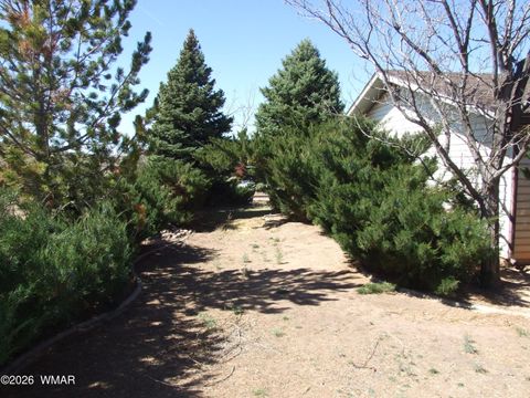 Tiny photo for 430 S Love Lake Circle, Taylor, AZ 85939 (MLS # 260121)