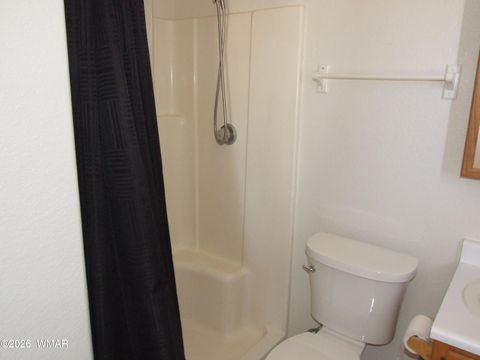 Tiny photo for 430 S Love Lake Circle, Taylor, AZ 85939 (MLS # 260121)