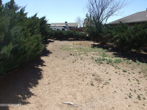 Tiny photo for 430 S Love Lake Circle, Taylor, AZ 85939 (MLS # 260121)
