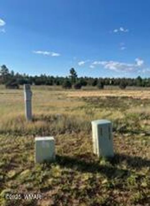 Tiny photo for TBD Quarter Horse Trail, Overgaard, AZ 85933 (MLS # 255638)