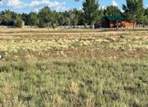 Tiny photo for TBD Quarter Horse Trail, Overgaard, AZ 85933 (MLS # 255638)