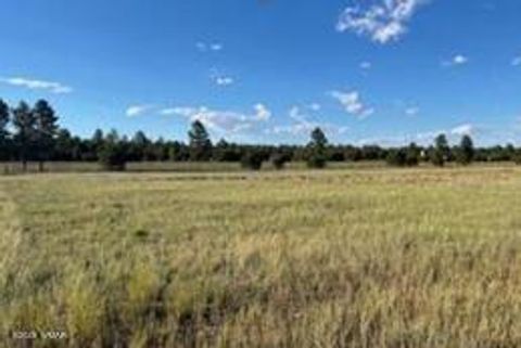 Photo of TBD Quarter Horse Trail, Overgaard, AZ 85933 (MLS # 255638)