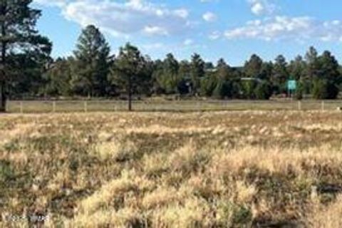 Tiny photo for TBD Quarter Horse Trail, Overgaard, AZ 85933 (MLS # 255638)