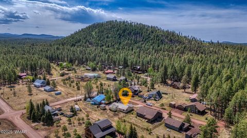 Tiny photo for 116 Skyhook Road, Pinetop, AZ 85935 (MLS # 259488)