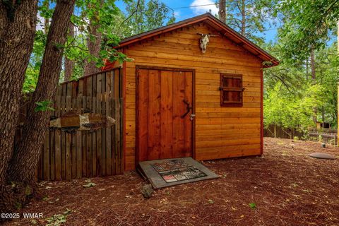 Tiny photo for Pinetop, AZ 85935 (MLS # 257613)