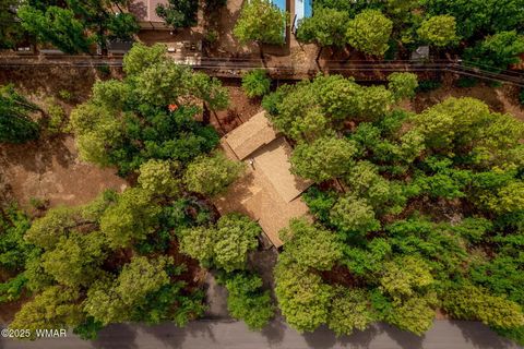 Tiny photo for Pinetop, AZ 85935 (MLS # 257613)