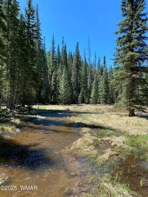 Tiny photo for 2641 Sports Village Loop #2, Pinetop, AZ 85935 (MLS # 257995)