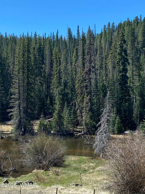 Tiny photo for 2641 Sports Village Loop #2, Pinetop, AZ 85935 (MLS # 257995)