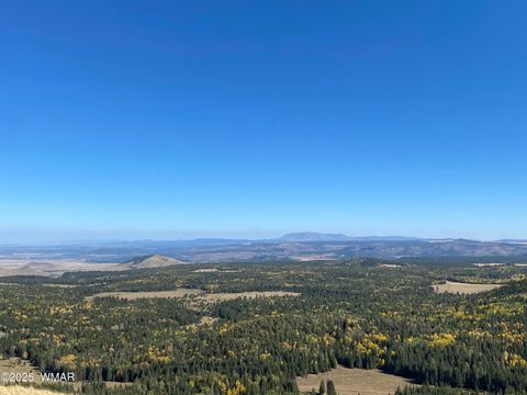 Tiny photo for 2641 Sports Village Loop #2, Pinetop, AZ 85935 (MLS # 257995)