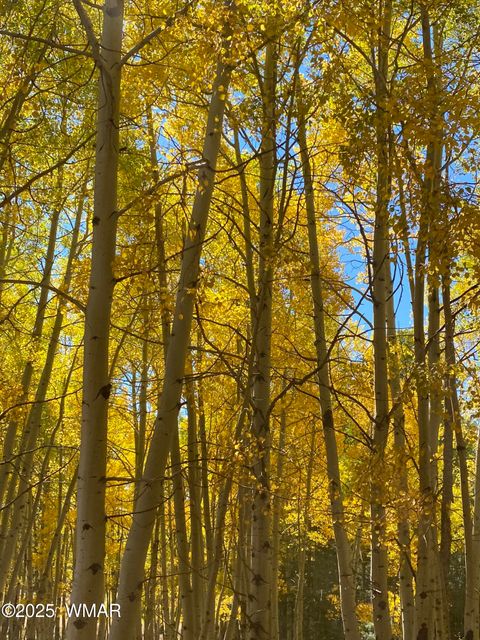 Tiny photo for 2641 Sports Village Loop #2, Pinetop, AZ 85935 (MLS # 257995)