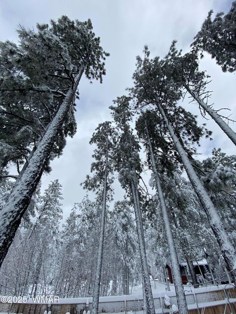 Tiny photo for 2641 Sports Village Loop #2, Pinetop, AZ 85935 (MLS # 257995)