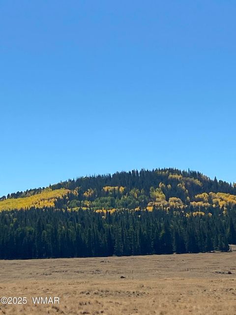 Tiny photo for 2641 Sports Village Loop #2, Pinetop, AZ 85935 (MLS # 257995)