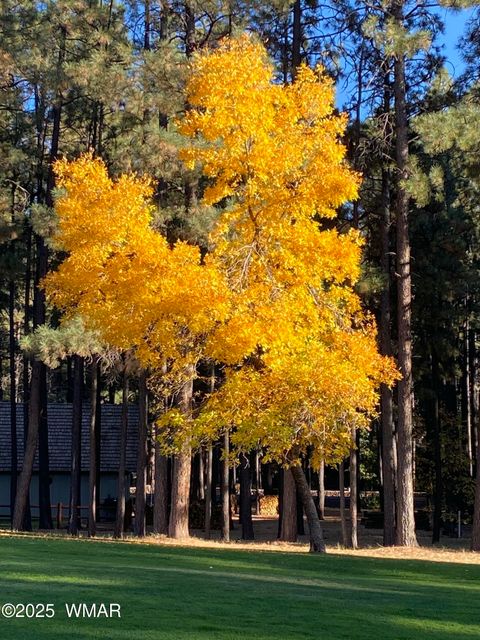 Tiny photo for 2641 Sports Village Loop #2, Pinetop, AZ 85935 (MLS # 257995)