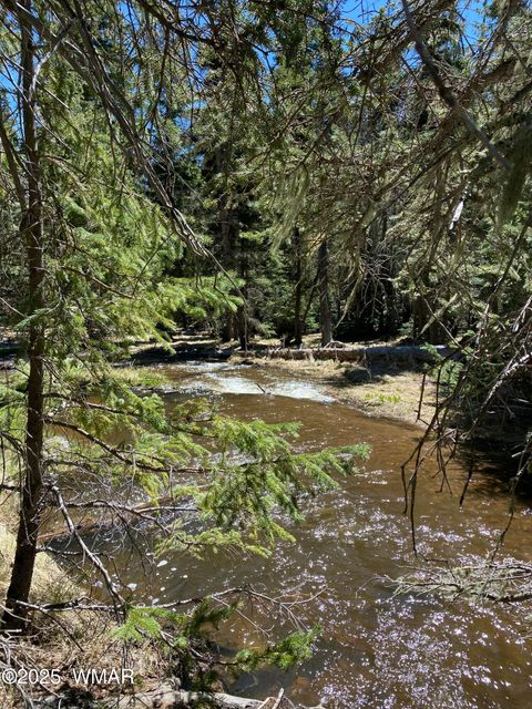 Tiny photo for 2641 Sports Village Loop #2, Pinetop, AZ 85935 (MLS # 257995)