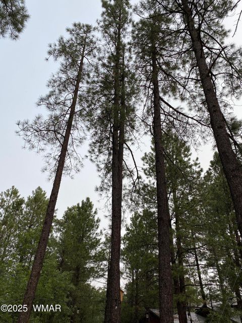 Tiny photo for 2641 Sports Village Loop #2, Pinetop, AZ 85935 (MLS # 257995)