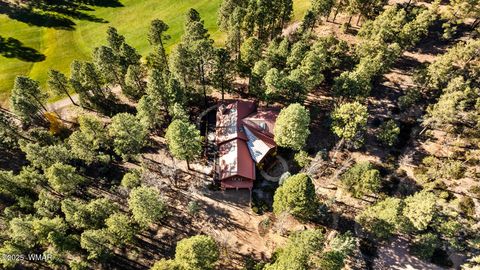 Tiny photo for 1520 S Little Leaf Lane, Show Low, AZ 85901 (MLS # 258708)