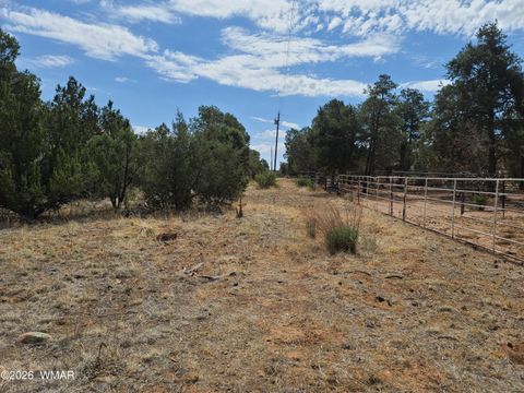 Tiny photo for 3085 State Route 277, Overgaard, AZ 85933 (MLS # 259282)