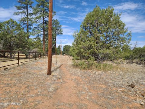 Tiny photo for 3085 State Route 277, Overgaard, AZ 85933 (MLS # 259282)