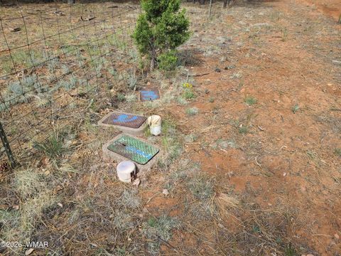 Tiny photo for 3085 State Route 277, Overgaard, AZ 85933 (MLS # 259282)
