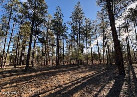 Tiny photo for 2360 Narrow Leaf Lane, Show Low, AZ 85901 (MLS # 259673)
