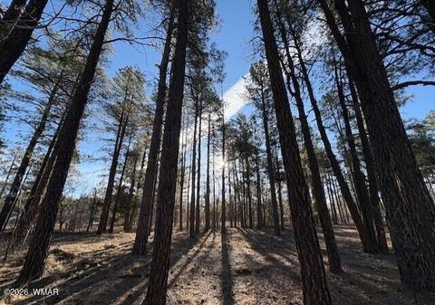 Photo of 2360 Narrow Leaf Lane, Show Low, AZ 85901 (MLS # 259673)