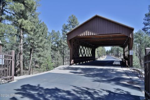 Tiny photo for 1030 Big Springs Trail, Lakeside, AZ 85929 (MLS # 259958)