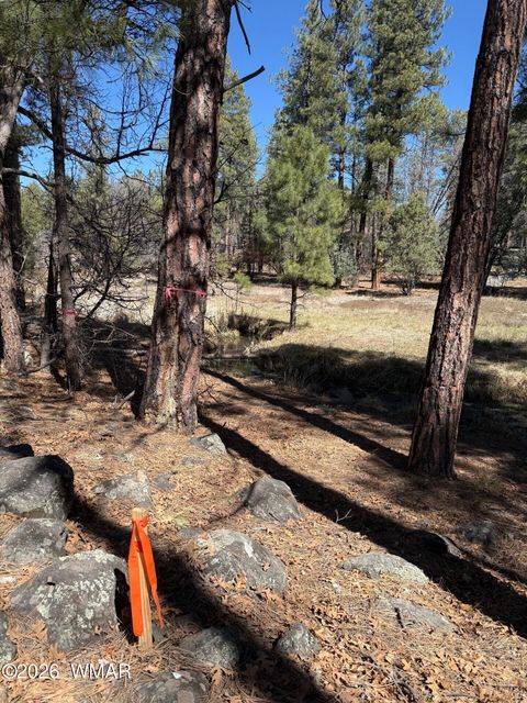 Tiny photo for 1030 Big Springs Trail, Lakeside, AZ 85929 (MLS # 259958)