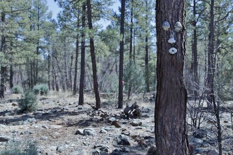 Tiny photo for 1030 Big Springs Trail, Lakeside, AZ 85929 (MLS # 259958)