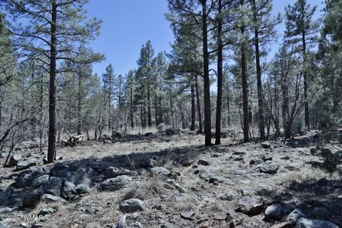 Tiny photo for 1030 Big Springs Trail, Lakeside, AZ 85929 (MLS # 259958)