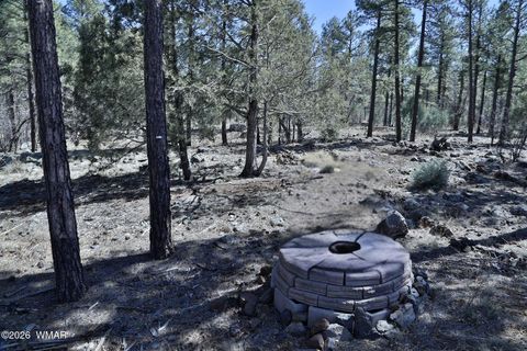 Tiny photo for 1030 Big Springs Trail, Lakeside, AZ 85929 (MLS # 259958)