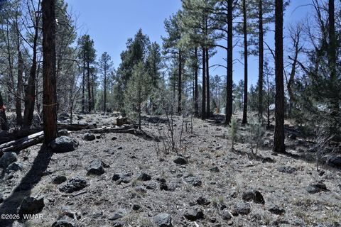 Photo of 1030 Big Springs Trail, Lakeside, AZ 85929 (MLS # 259958)