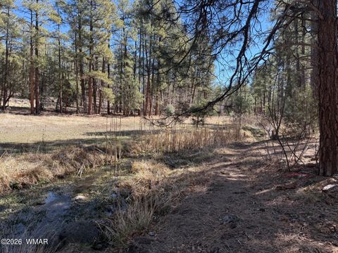 Tiny photo for 1030 Big Springs Trail, Lakeside, AZ 85929 (MLS # 259958)