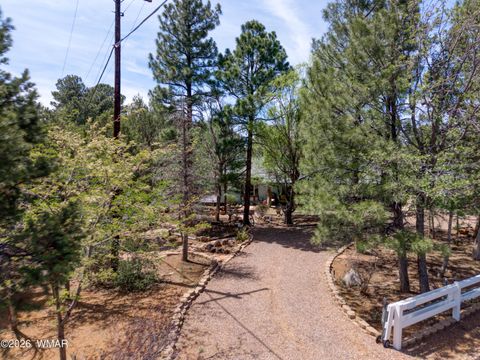 Tiny photo for 1100 W Owens, Show Low, AZ 85901 (MLS # 261296)