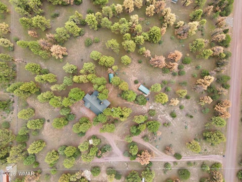Tiny photo for 7 Co Rd 2019, Nutrioso, AZ 85932 (MLS # 263006)