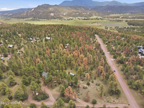 Tiny photo for 7 Co Rd 2019, Nutrioso, AZ 85932 (MLS # 263006)