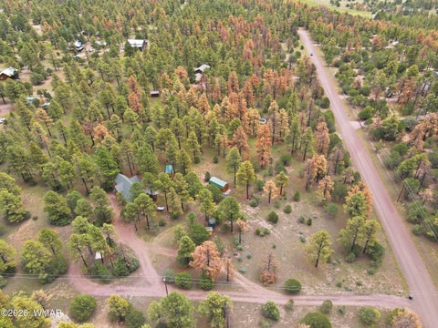 Tiny photo for 7 Co Rd 2019, Nutrioso, AZ 85932 (MLS # 263006)
