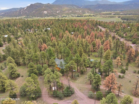 Tiny photo for 7 Co Rd 2019, Nutrioso, AZ 85932 (MLS # 263006)