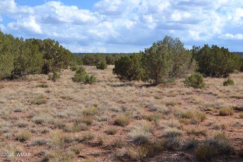 Photo of 4161 Colt Road, Snowflake, AZ 85937 (MLS # 256893)