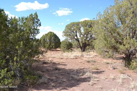 Tiny photo for 4161 Colt Road, Snowflake, AZ 85937 (MLS # 256893)