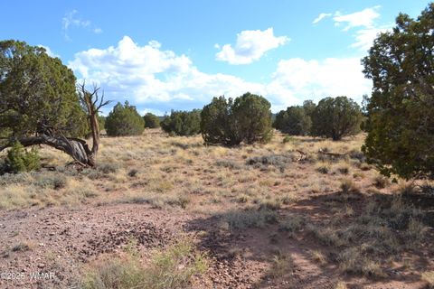 Tiny photo for 4161 Colt Road, Snowflake, AZ 85937 (MLS # 256893)