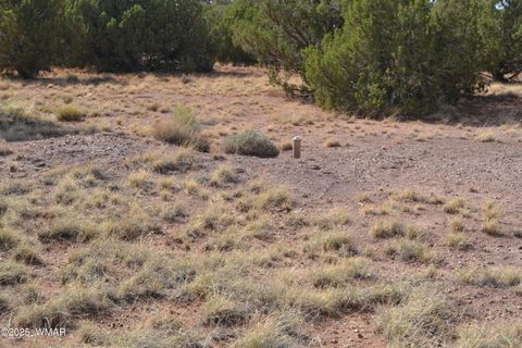 Tiny photo for 4161 Colt Road, Snowflake, AZ 85937 (MLS # 256893)