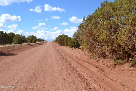 Tiny photo for 4161 Colt Road, Snowflake, AZ 85937 (MLS # 256893)
