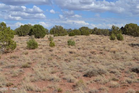 Tiny photo for 4161 Colt Road, Snowflake, AZ 85937 (MLS # 256893)